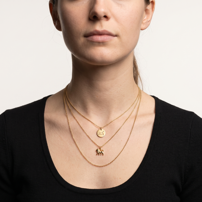 Zodiac constellation necklace set worn, front view